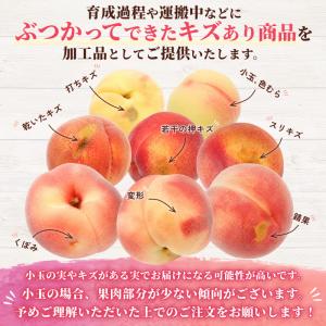 加工用訳あり 桃 山形県産 白桃 品種おまかせ...の詳細画像1