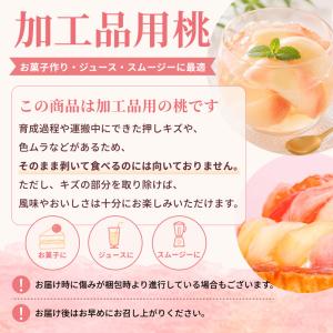 加工用訳あり 桃 山形県産 白桃 品種おまかせ...の詳細画像2