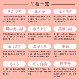 訳あり フルーツ 白桃 桃 品種おまかせ 約2...の詳細画像3