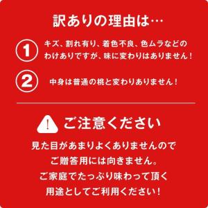 訳あり フルーツ 白桃 桃 品種おまかせ 約2...の詳細画像4