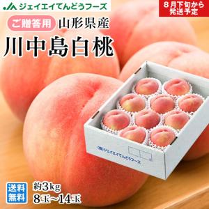 贈答用  桃 川中島白桃 約3kg（8〜14玉）秀品 山形県産 もも ギフト　pc03｜tendofoods