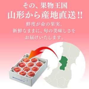 爆買 お中元 贈答用 桃 川中島白桃 約3kg...の詳細画像5