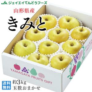 りんご きみと リンゴ 約3kg 山形県産 林檎 山形 送料無料(一部地域別途送料)｜tendofoods