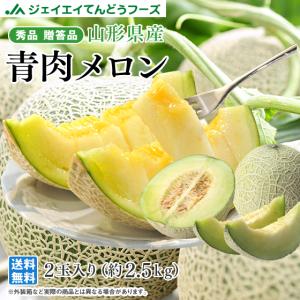 メロン お中元 ギフト 山形県庄内産 砂丘メロン 青肉