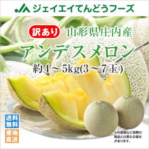 予約商品 メロン アンデス 訳あり 良品 約4〜5kg（3〜7玉） 山形県庄内産 ご自宅用 産地直送 mr09