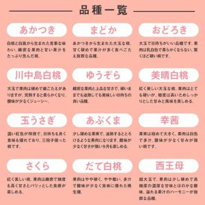 お中元 贈答用 秀品 山形県産 白桃 品種おま...の詳細画像3