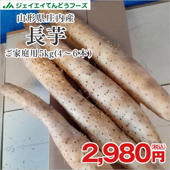 ご家庭用 山形県庄内産 長芋 ながいも 約5kg(4〜6本)