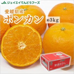 愛媛県産 ポンカン 約3kg 玉数おまかせ ぽんかん 柑橘 果物 フルーツ ギフト ※一部地域は別途送料追加 pkn05｜tendofoods