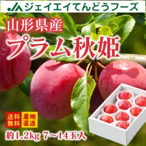 予約商品 すもも ギフト プラム 『秋姫』 約1.2kg （7〜14玉） 秀品 山形県産 スモモ 爆買 pl04