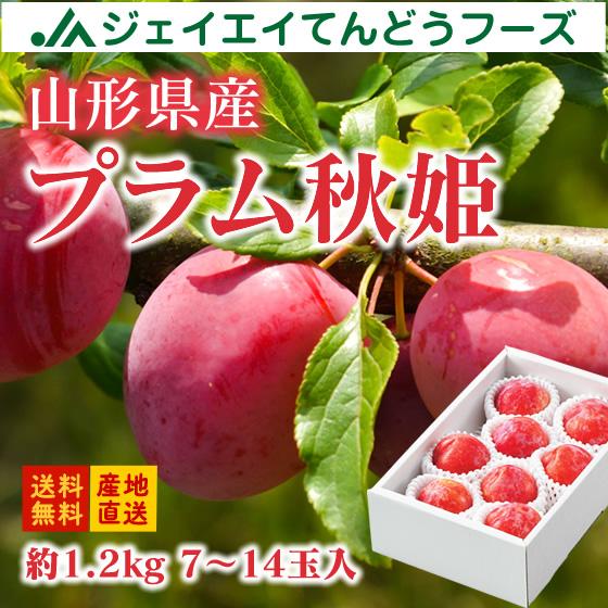 予約商品 すもも ギフト プラム 『秋姫』 約1.2kg （7〜14玉） 秀品 山形県産 スモモ 爆...