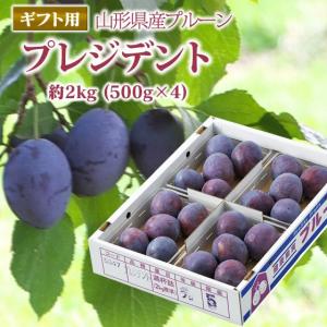 商品 ギフト プルーン 『プレジデント』 約2kg （500g×4