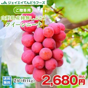 ぶどう 希少品種 種なし クイーンニーナ 約1kg（2房） 山形県産 秀品 葡萄 贈答 h06｜tendofoods