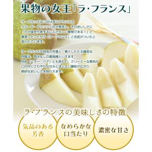 フルーツ ギフト 山形県産 ラ・フランス&サン...の詳細画像2