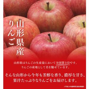 フルーツ ギフト 山形県産 ラ・フランス&サン...の詳細画像5