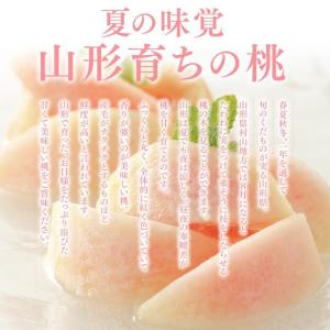 ギフ 山形県産 黄桃 約3kg (8〜14玉)...の詳細画像1