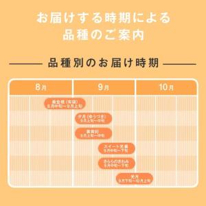 ギフ 山形県産 黄桃 約3kg (8〜14玉)...の詳細画像2