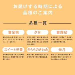 ギフ 山形県産 黄桃 約3kg (8〜14玉)...の詳細画像3