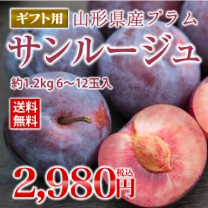 すもも ギフト プラム 『サンルージュ』 約1.2kg （玉数おまかせ）
