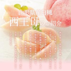 爆買 白桃 桃 西王母 ギフト 約3kg (6...の詳細画像2