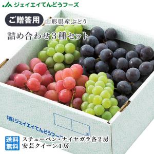 山形県産ぶどう詰合せ(スチューベン2房・ナイアガラ2房・安芸クィーン1房) 送料無料※一部地域は別途送料｜tendofoods