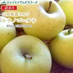 訳あり  りんご 送料無料 山形県産りんご(シナノゴールド) 約5kg玉数おまかせ ※一部地域は別途送料｜tendofoods