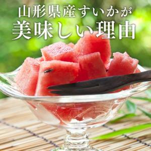 爆買 秀品 すいか 黒皮 小玉 (2玉) 山形...の詳細画像3
