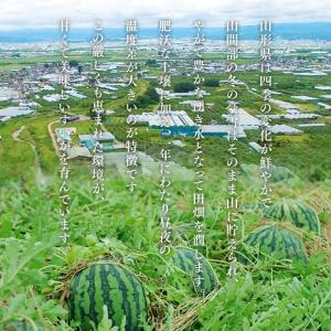爆買 秀品 すいか 黒皮 小玉 (2玉) 山形...の詳細画像4
