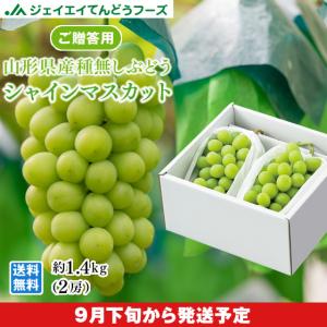 ぶどう ギフト 皮ごと 『シャインマスカット』 約700g ×2房 山形県産 秀品 葡萄 贈答 9月中旬から順次出荷 爆買 gr09