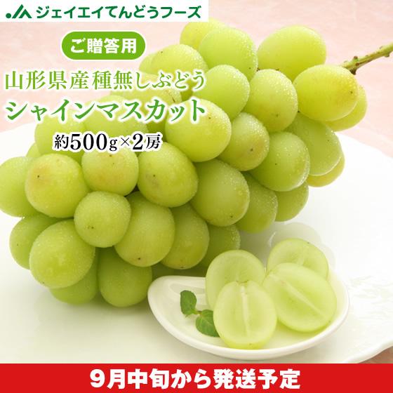 ぶどう ギフト 皮ごと 『シャインマスカット』 約1kg （2房） 山形県産 秀品 葡萄 贈答 h0...