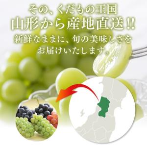 敬老の日ギフト ぶどう シャインマスカット 約...の詳細画像3