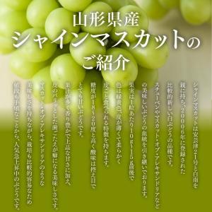 敬老の日ギフト ぶどう シャインマスカット 約...の詳細画像4