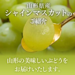 敬老の日ギフト ぶどう シャインマスカット 約...の詳細画像5