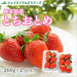 いちご 栃木県産 とちおとめ 2パック (約260g×2) 粒数おまかせ イチゴ フルーツ ギフト ※一部地域は別途送料追加 tom05｜tendofoods