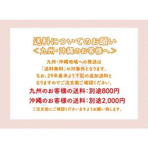 お米 10kg 新米 精米 山形県産 令和7年...の詳細画像4