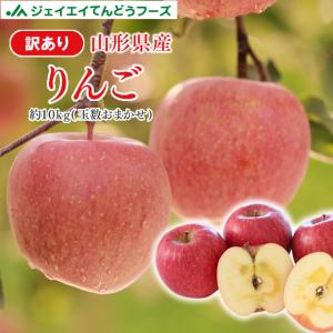 りんご 訳あり 約10kg リンゴ ご自宅用 山形県産 林檎 山形 フードロス 産地直送 (一部地域別途送料) 順次出荷 ap13