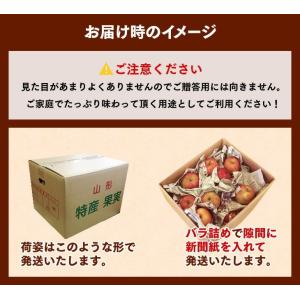 りんご 訳あり 約10kg リンゴ ご自宅用 ...の詳細画像4