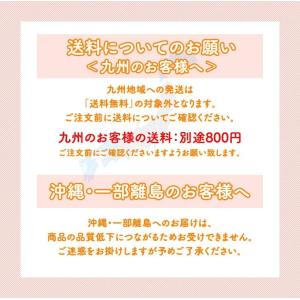 りんご 訳あり 約10kg リンゴ ご自宅用 ...の詳細画像5