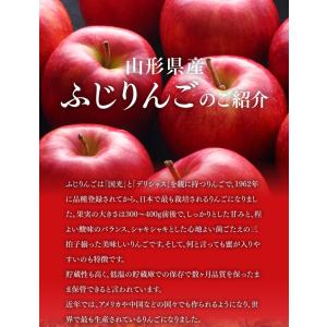 お試し ご家庭用 りんご サンふじ リンゴ 約...の詳細画像3
