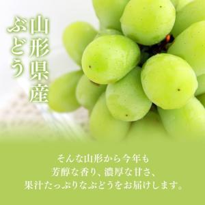 ぶどう 訳あり フルーツ 皮ごと シャインマス...の詳細画像3