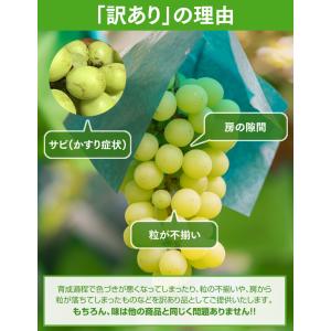 ぶどう 訳あり フルーツ 皮ごと シャインマス...の詳細画像1