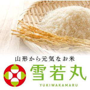 お米 10kg 精米 山形県産 令和7年 雪若...の詳細画像1