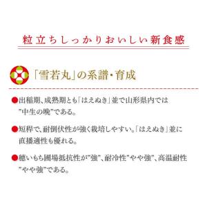 お米 10kg 精米 山形県産 令和7年 雪若...の詳細画像2