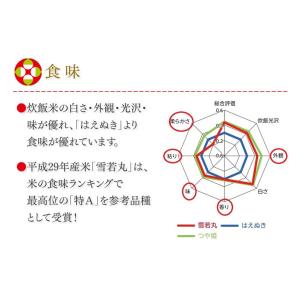 お米 10kg 精米 山形県産 令和7年 雪若...の詳細画像3