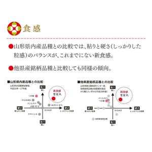 お米 10kg 精米 山形県産 令和7年 雪若...の詳細画像4