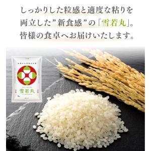 お米 10kg 精米 山形県産 令和7年 雪若...の詳細画像5