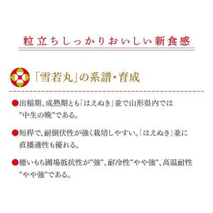 米 お米 20kg 雪若丸 山形県産 令和7年...の詳細画像2
