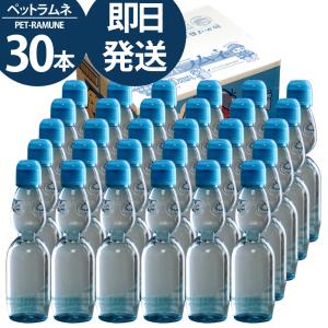 ラムネ ラムネ飲料 炭酸水 業務用 ドリンク 飲料 ペットラムネ ペットボトル ビー玉 ケース 250ml ×30本