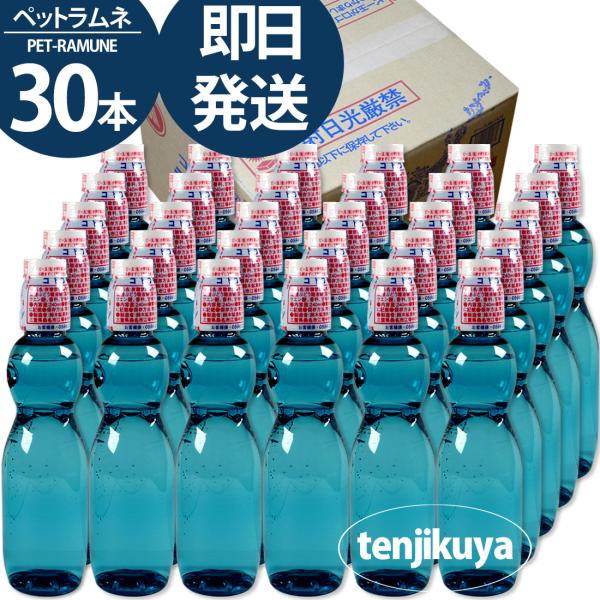 ラムネ ラムネ飲料 ラムネジュース 安い 業務用 炭酸飲料 ペットボトル プラスチック 炭酸 ジュー...