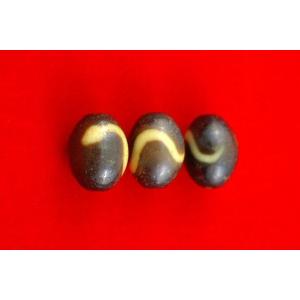 至純十五眼天珠[12×38] : 小盧至純西蔵天珠ヤフー店 - 通販 - Yahoo