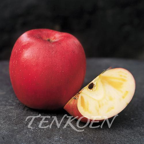 りんご 黒千寿TM（くろせんじゅTM）　しなの姫PVP　 苗木 裸苗【株式会社 天香園】